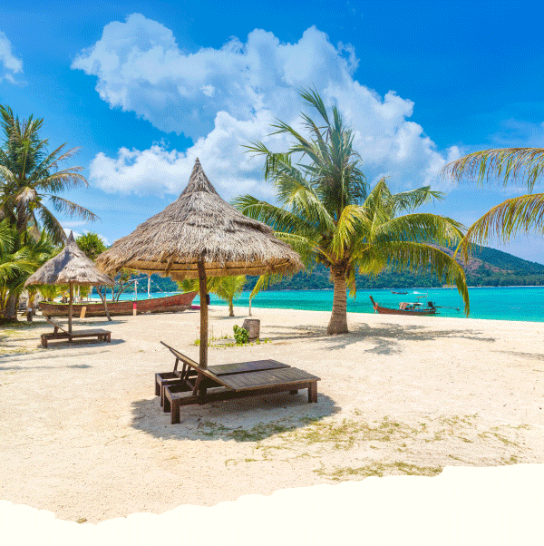 Header_01_02