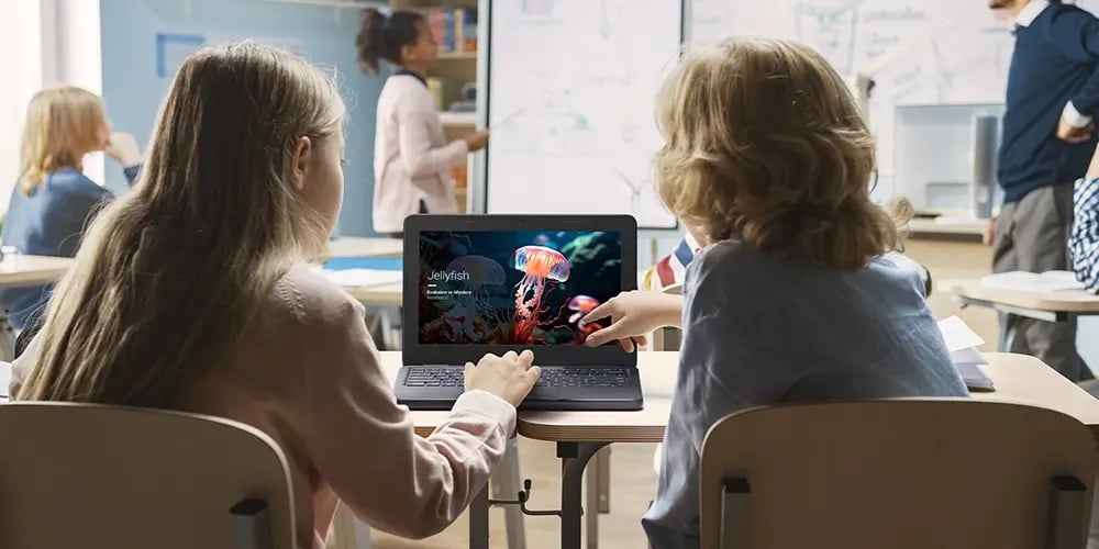Two students in a classroom sharing a Chromebook displaying an image of a jellyfish on the screen.