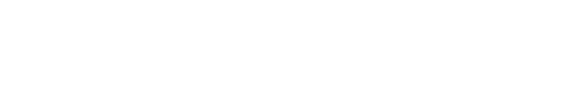 NEtApp-White-1
