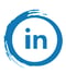 LinkedIn Icon