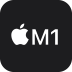 RX Chip M1